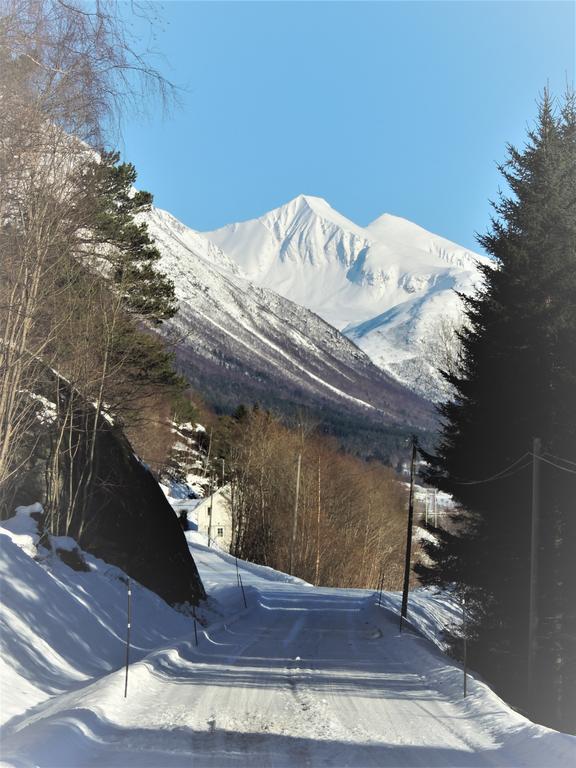 Tindelykke Villa Isfjorden Kültér fotó